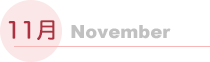 11月